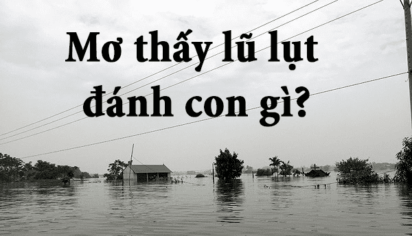 Giải Mã Giấc Mơ Lũ Lụt - Mơ bị lũ cuốn đánh con gì