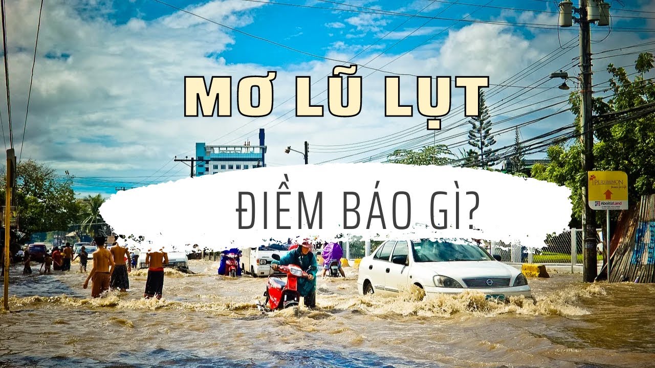 Giải Mã Giấc Mơ Thấy Lũ Lụt - Mơ thấy lũ cuốn đánh con gì