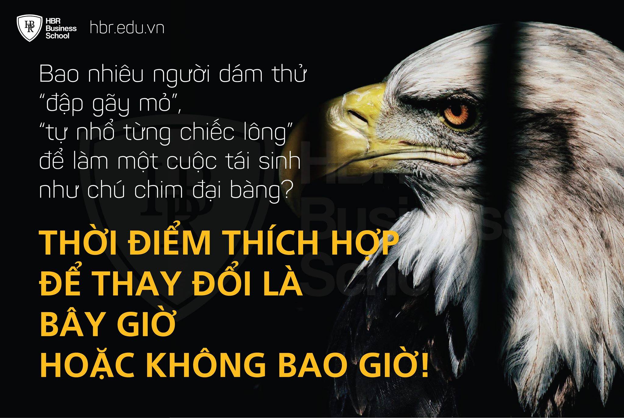 Giải Mã Giấc Mơ Thấy Đại Bàng - Sổ mơ lô đề KQXS