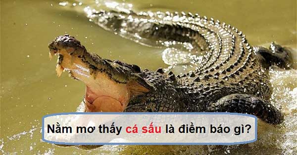 Giải Mã Giấc Mơ thấy cá sấu - là điềm lành hay dữ