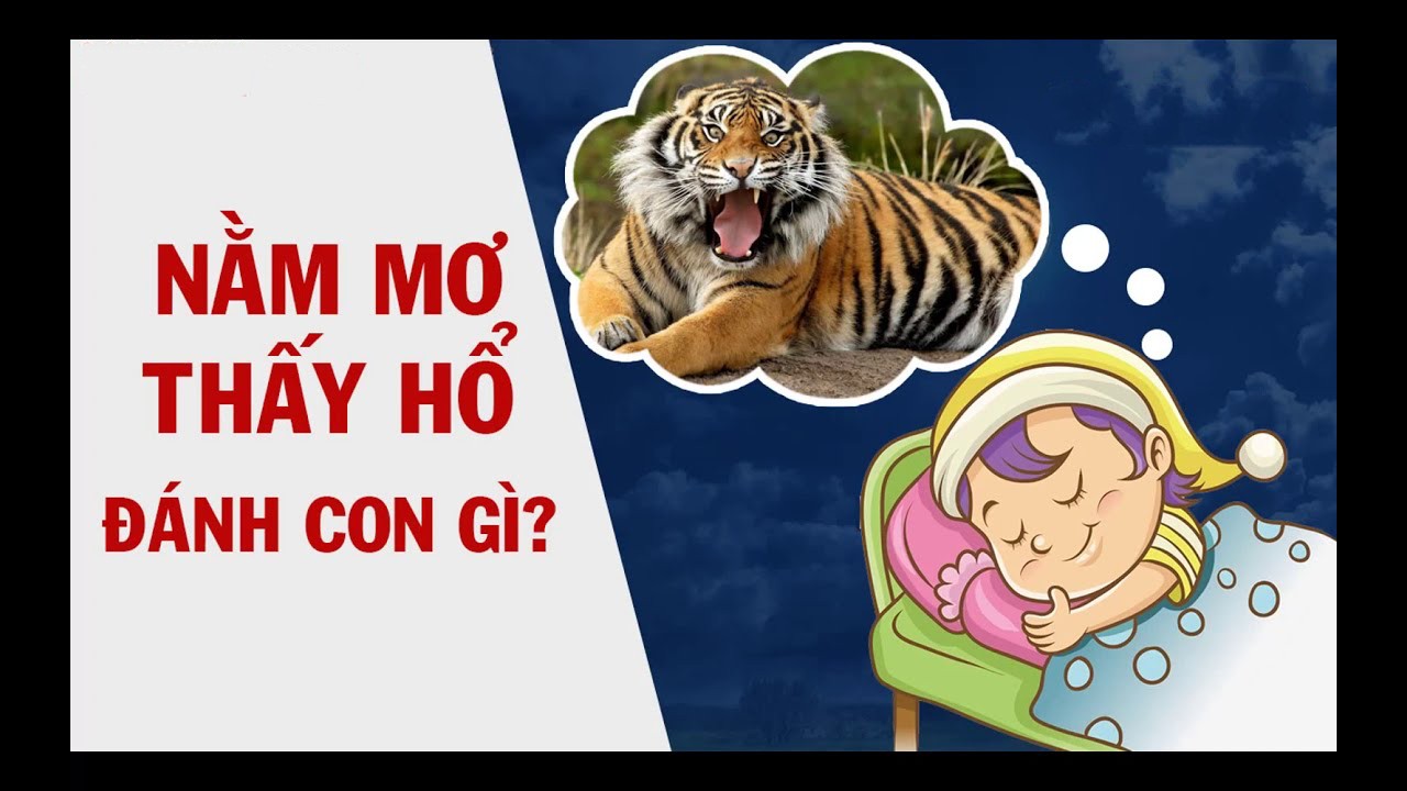 Giải Mã Giấc Mơ thấy hổ - đánh đề con gì trúng lớn