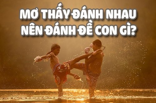 Giải Mã Giấc Mơ Đánh Nhau - Sổ mơ lô đề KQXS